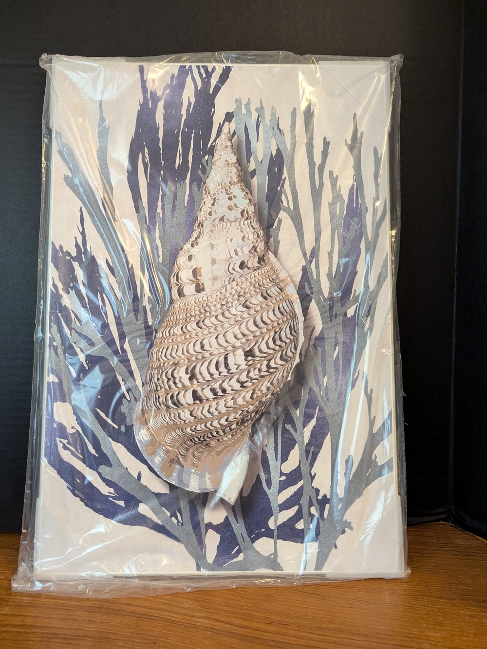 NEW Coastal Shell Plaque - Blue and White 13x19"